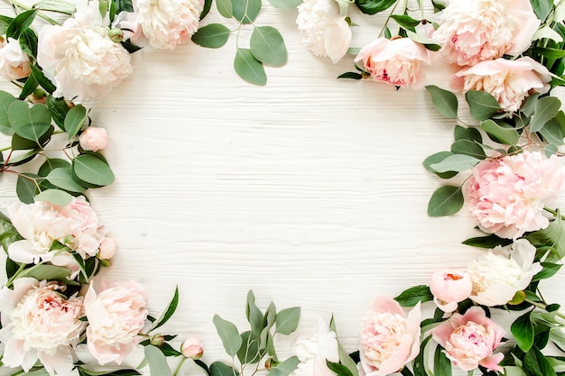 Cadre de bordure composé de bourgeons de fleurs de pivoines roses et beiges branches d'eucalyptus