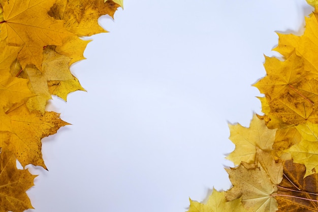 Cadre de bordure de feuilles d'automne colorées