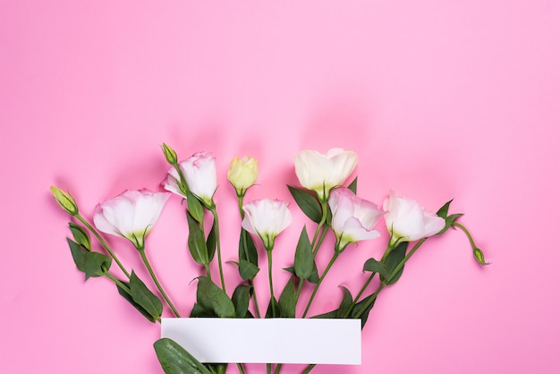 Cadre de bordure en fleur d'eustoma sur fond rose, poser à plat. Coins décoratifs floraux.