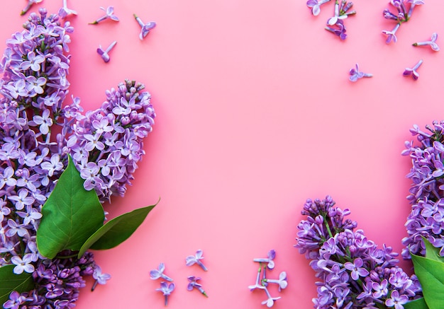 Cadre de branches et fleurs de lilas