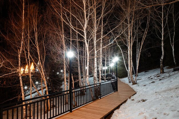 Photo un cadre de cabanes la nuit dans le parc d'hiver