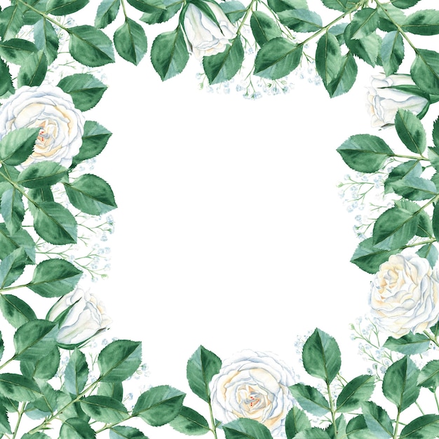 Cadre carré aquarelle avec roses blanches et gypsophile Illustration botanique dessinée à la main