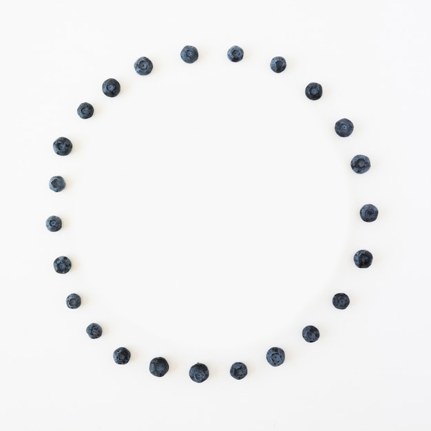 Photo cadre circulaire fait avec des bleuets isolés sur fond blanc