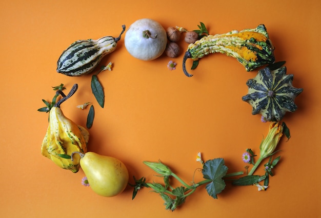 Photo cadre de citrouilles décoratives, poires, noix, feuilles vertes et fleurs