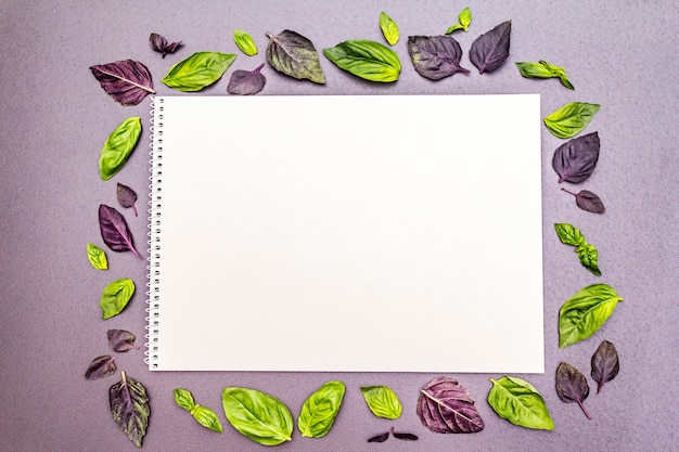 Photo cadre composé de deux types de basilic - vert et violet
