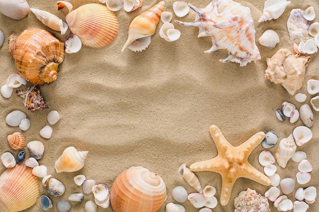 Cadre de coquillages, étoiles de mer et galets de mer sur fond de sable de plage. Surface texturée de bord de mer naturel, vue de dessus, espace de copie