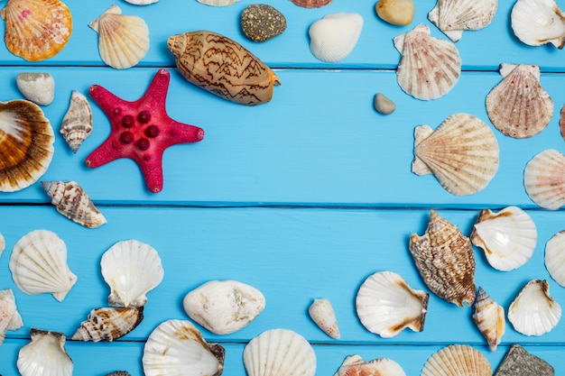 Cadre de coquillages sur fond de bois bleu