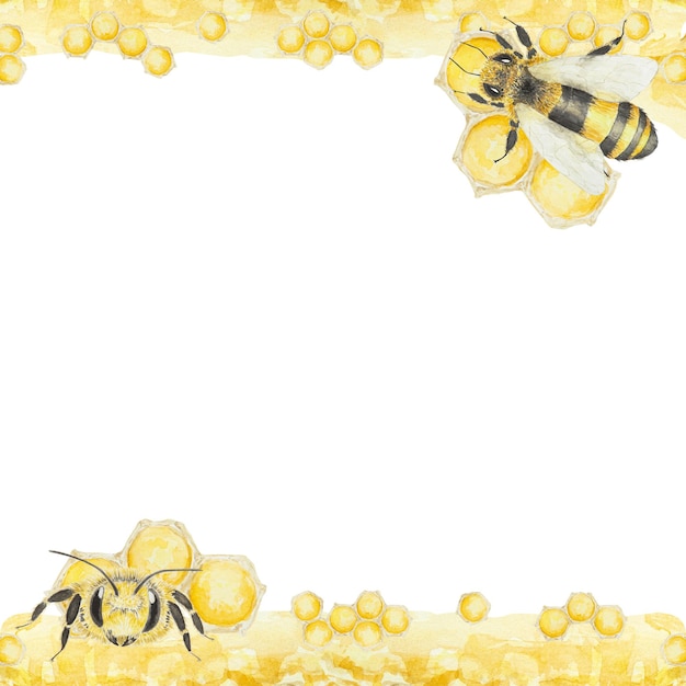 Cadre dessiné à la main aquarelle d'abeilles et de miel isolé sur fond blanc