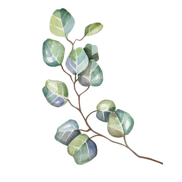 Le cadre du cœur à l'aquarelle
