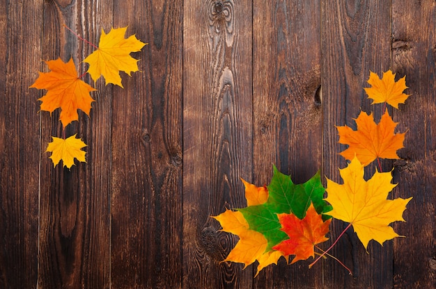 Cadre d'érable automne feuilles sur un fond en bois