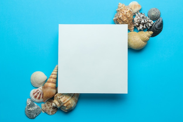 Photo cadre d'été. cadre en papier pour votre texte et coquillages sur un fond bleu doux. vue de dessus