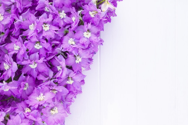 Cadre fait de fleurs de delphinium lilas sur fond de planche blanche. Vue de dessus. Espace de copie.