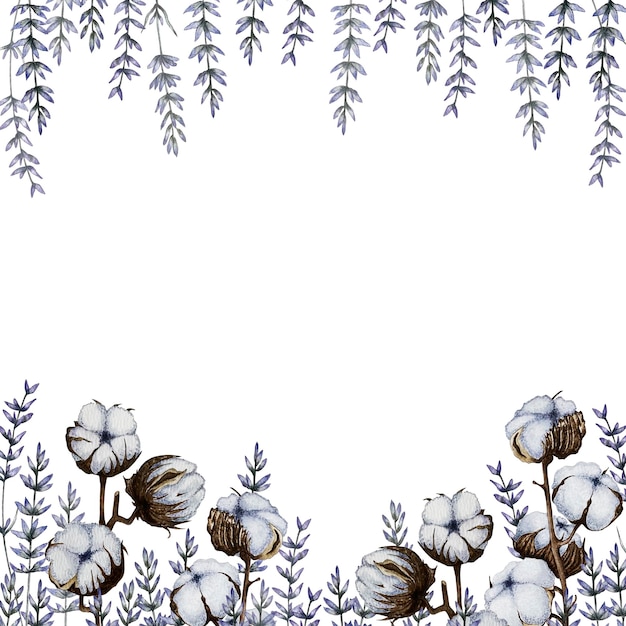 Photo cadre fait de fleurs de lavande et de coton illustration aquarelle