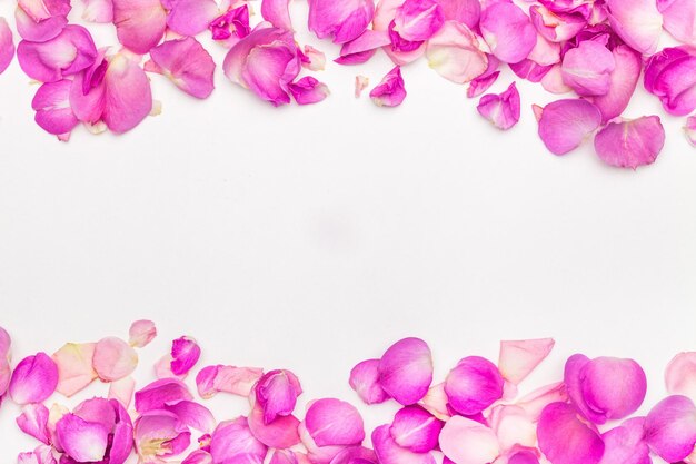 Cadre fait de pétales de roses roses Vue supérieure plate Valentines arrière-plan