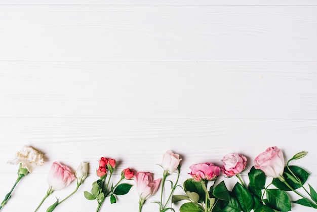 Cadre féminin d&#39;espace de travail avec des roses roses et des pétales sur fond blanc en bois. Flat lay, top view. Fond de fleurs. Fête des femmes, fête des mères.