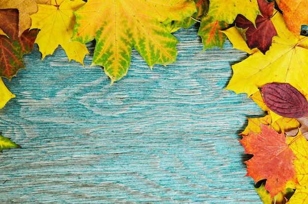 Cadre de feuilles d'automne colorées vives sur le fond saisonnier vintage de bureau cyan en bois grunge