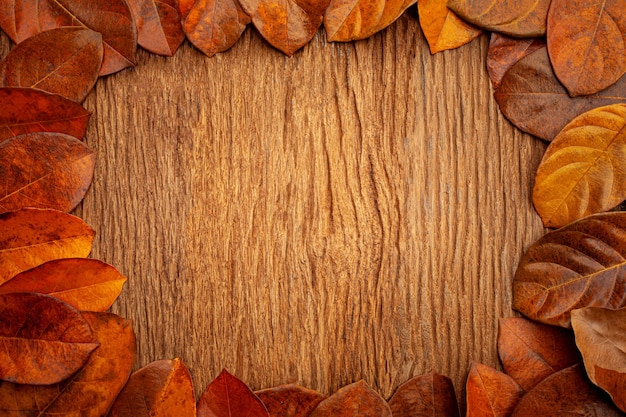 cadre de feuilles d'automne sur fond de bois ancien vintage