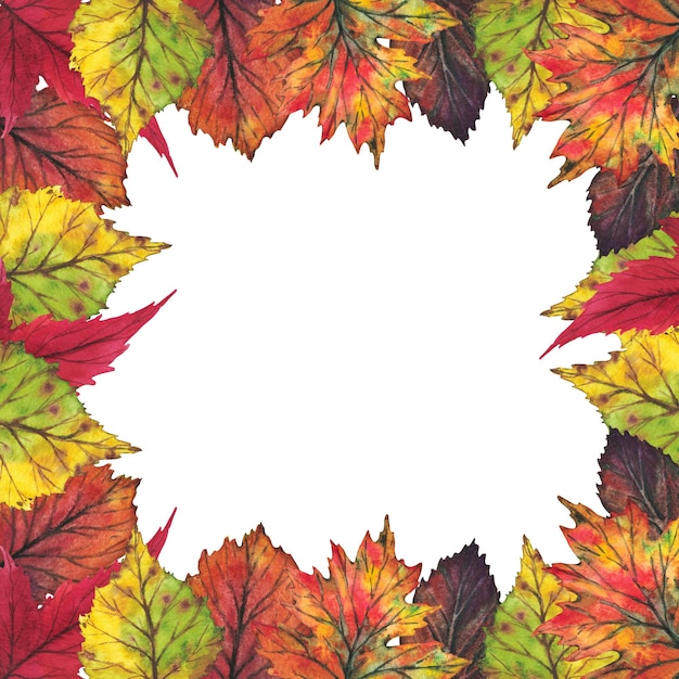 Cadre de feuilles d'automne jaunes et rouges sur un fond de Pentecôte Illustration aquarelle Clip art botanique feuillage