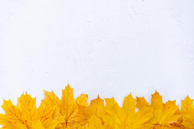 Cadre de feuilles d'automne sur la vue de dessus de fond blanc