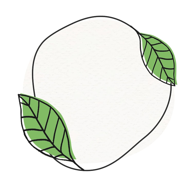 Photo le cadre de feuilles de cendres png sur un fond transparent