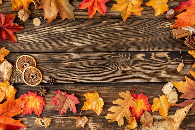 Cadre de feuilles colorées avec espace de copie