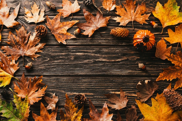 cadre en feuilles d'érable, cônes et glands.