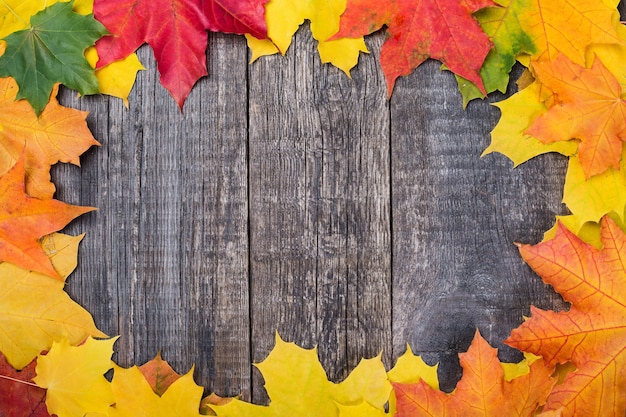 Cadre en feuilles d'érable sur fond de bois