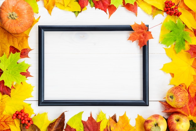 Cadre avec des feuilles d'érable tombées multicolores.