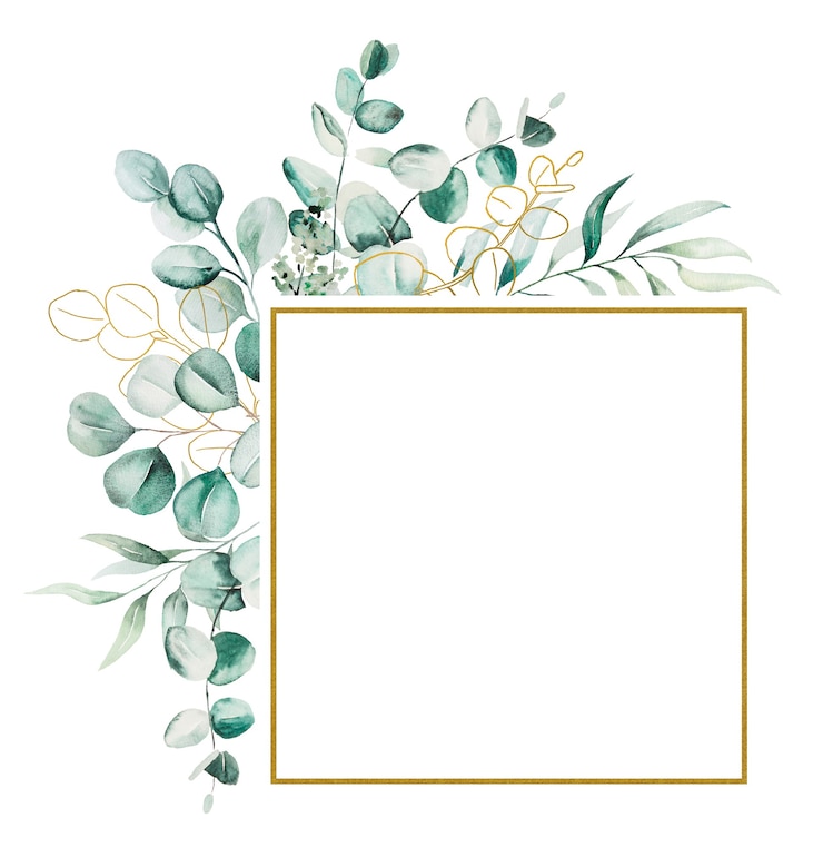 Photo cadre de feuilles d'eucaliptus aquarelle
