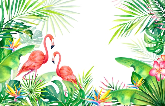 Cadre en feuilles de palmier branches de banane strelitzia flamants rosesplantes et oiseaux tropicaux illustration à l'aquarelle carnaval au Brésil Rio de Janeiro humeur d'été modèle de bannière
