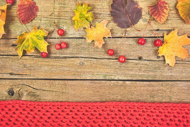 Cadre en feuilles séchées et écharpe chaude.