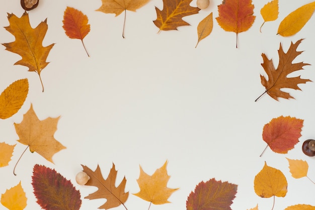 Cadre Des Feuilles Tombées D'automne Sur Un Fond Beige Avec L'espace De Copie