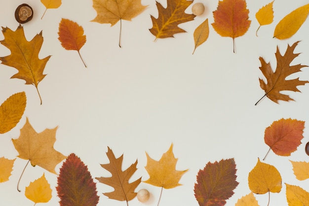 Cadre de feuilles tombées d'automne sur fond beige