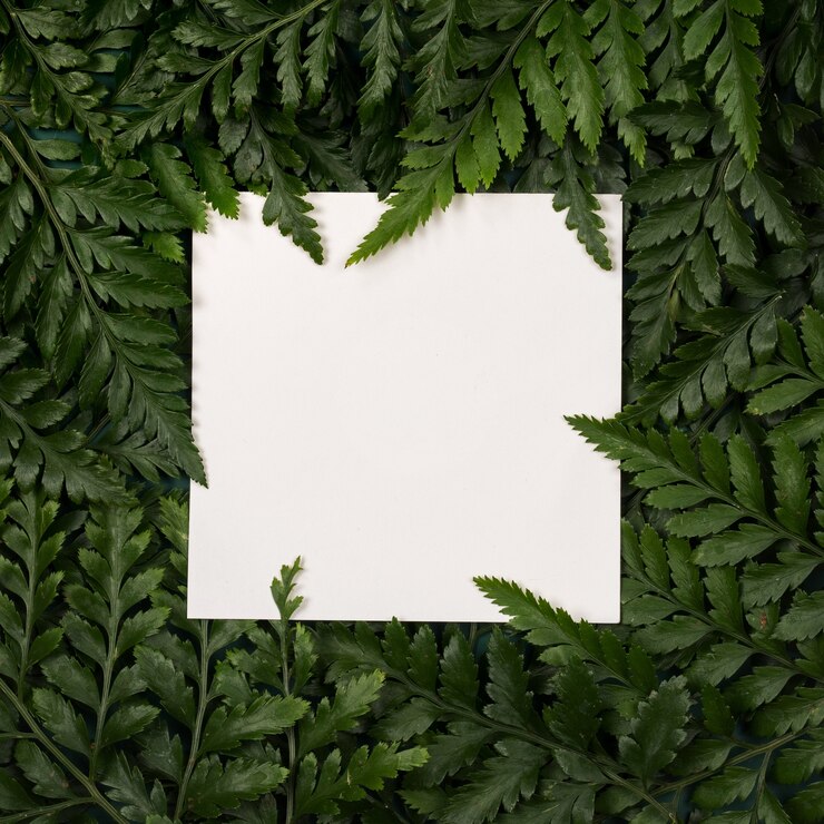 Photo cadre en feuilles vertes avec papier maquette. fond tropical de l&#39;été
