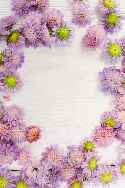 Cadre de fleurs d'été sur blanc