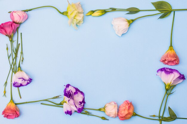 Cadre de fleurs eustoma blanches et roses