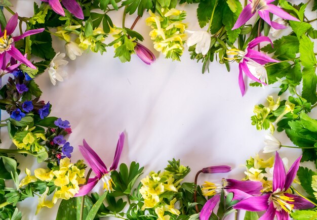 Cadre de fleurs de forêt de printemps avec espace de copie