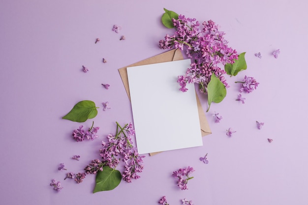 cadre avec des fleurs lilas sur fond violet