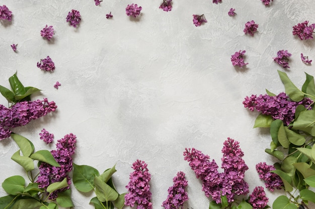 Cadre de fleurs lilas violettes avec un espace pour le texte en vue de dessus.