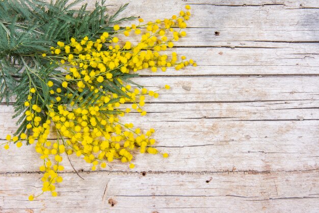 Cadre de fleurs de mimosa sur fond en bois.