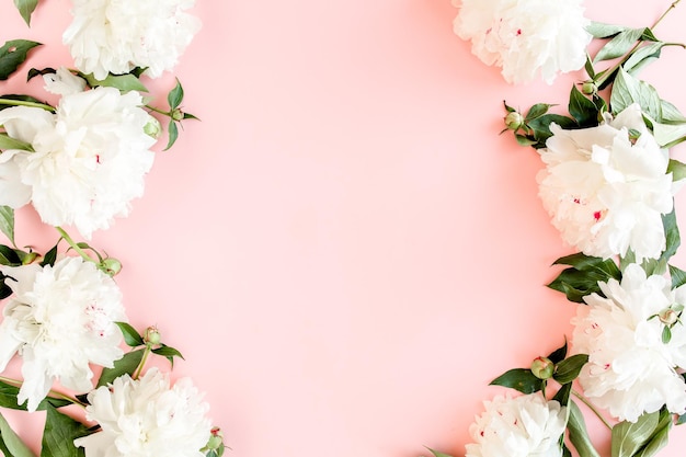 Cadre de fleurs de pivoine blanche avec un espace pour le texte sur fond rose texture pivoine télévision jeter vue de dessus