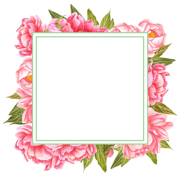 Cadre de fleurs de pivoine rose aquarelle dessinée à la main avec des feuilles vertes et des bourgeons sur fond blanc