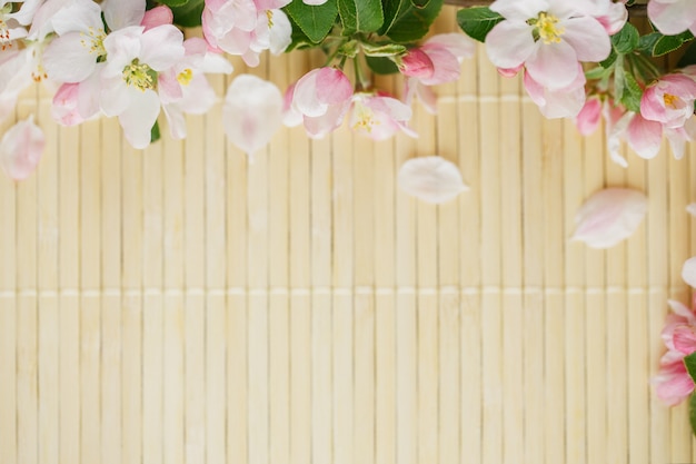 Cadre de fleurs de printemps de sakura sur bambou