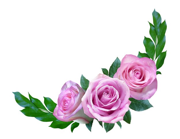 Cadre de fleurs de roses roses pour invitation de mariage ou carte de vœux isolée sur fond blanc