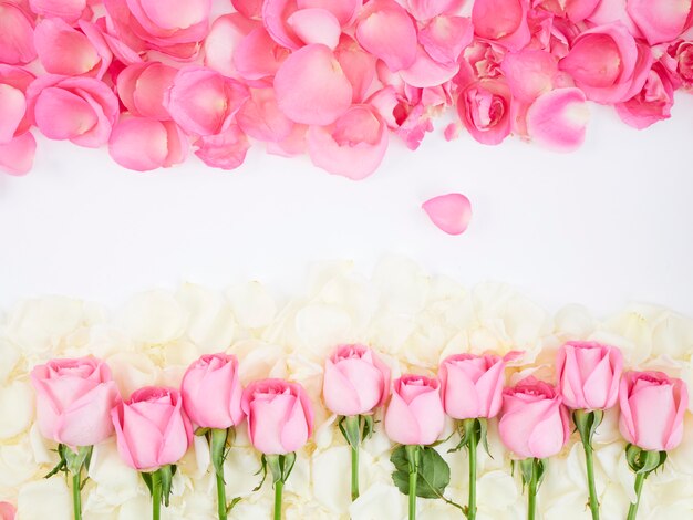 Photo cadre de fleurs en roses roses