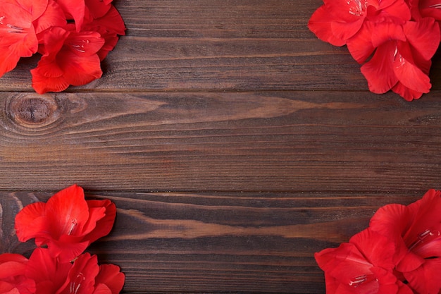 Cadre de fleurs rouges fraîches sur fond de bois