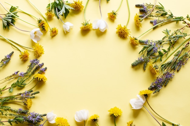 Cadre de fleurs sauvages sur jaune