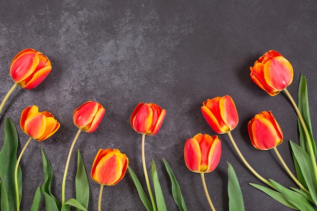 Cadre de fleurs de tulipes de couleur sur une surface sombre