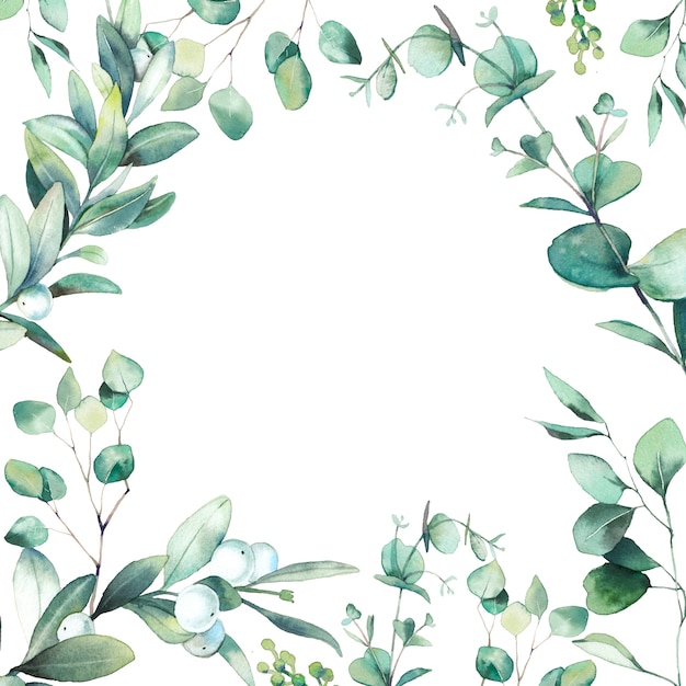 Photo cadre floral aquarelle. conception de carte de voeux dessinés à la main avec des feuilles vertes et des branches isolées sur fond blanc. eucalyptus, illustration de plantes de fraisier