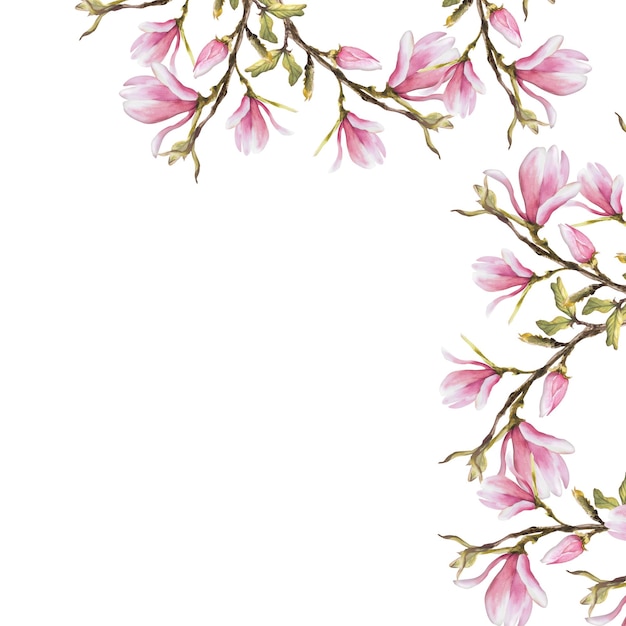 Cadre floral aquarelle magnolias fleurs branche peinte à la main illustration isolée fond blanc